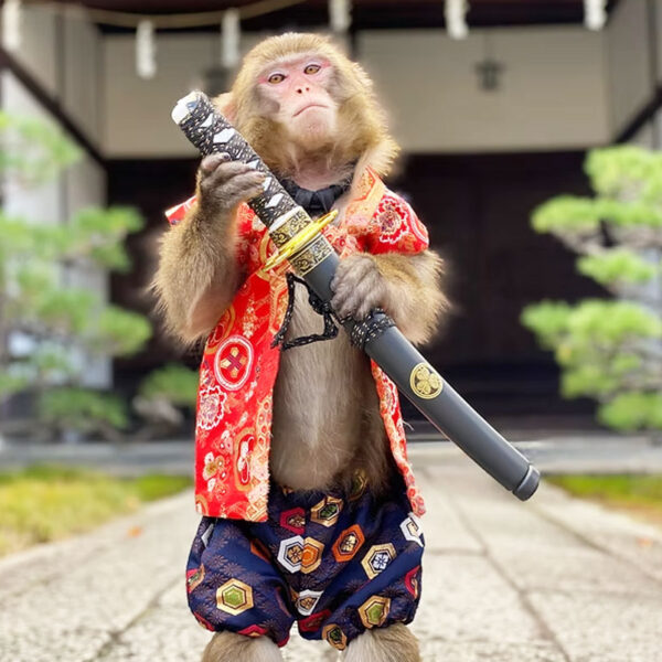 伝統芸能猿回し